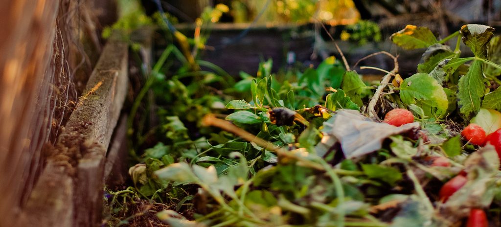 Tercera formación online de CirBioWaste sobre compostaje comunitario