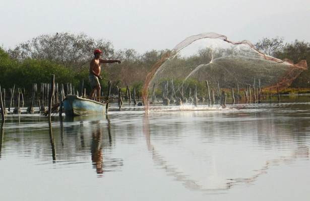 Conflictos ambientales de la acuicultura del camarón en Centroamérica. Un análisis desde la justicia ambiental