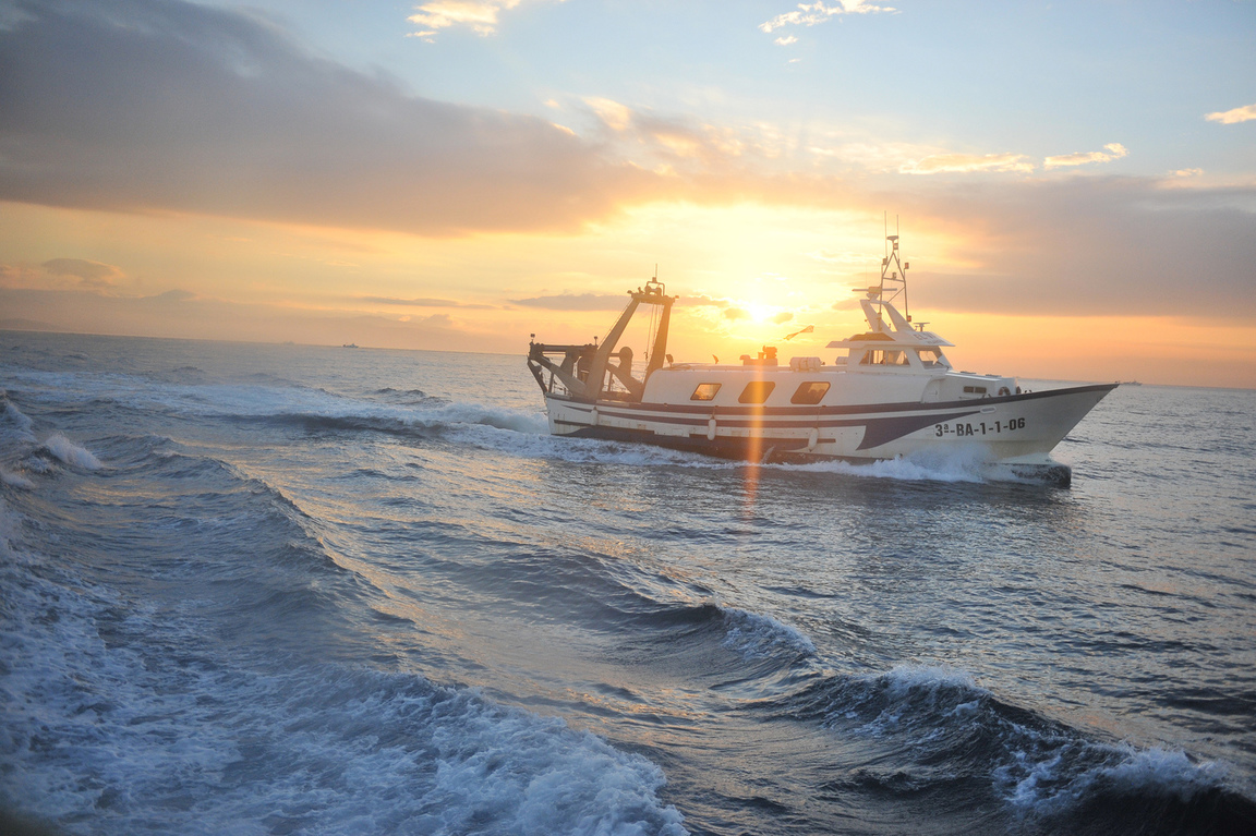Análisis y propuestas de actuación ante la reforma de la Política Pesquera Común. La sostenibilidad como eje de futuro de la pesca española