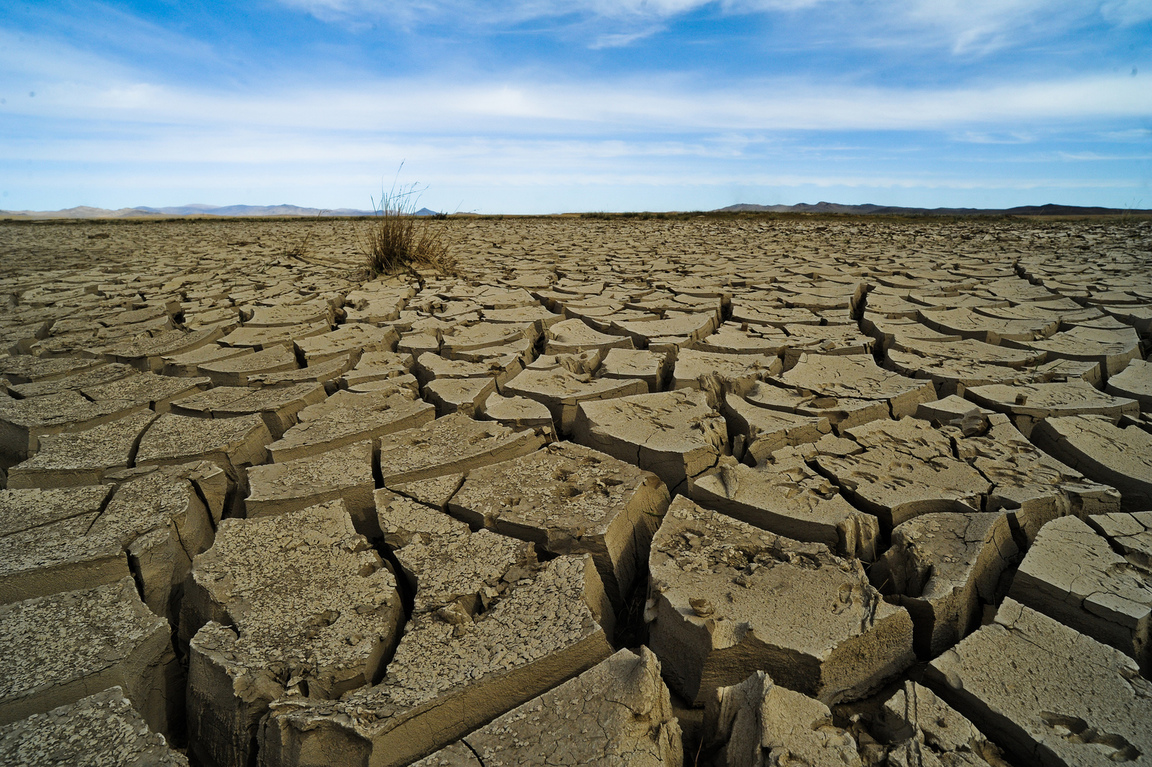 Retos y oportunidades económicas de la adaptación al cambio climático: el caso de Cataluña