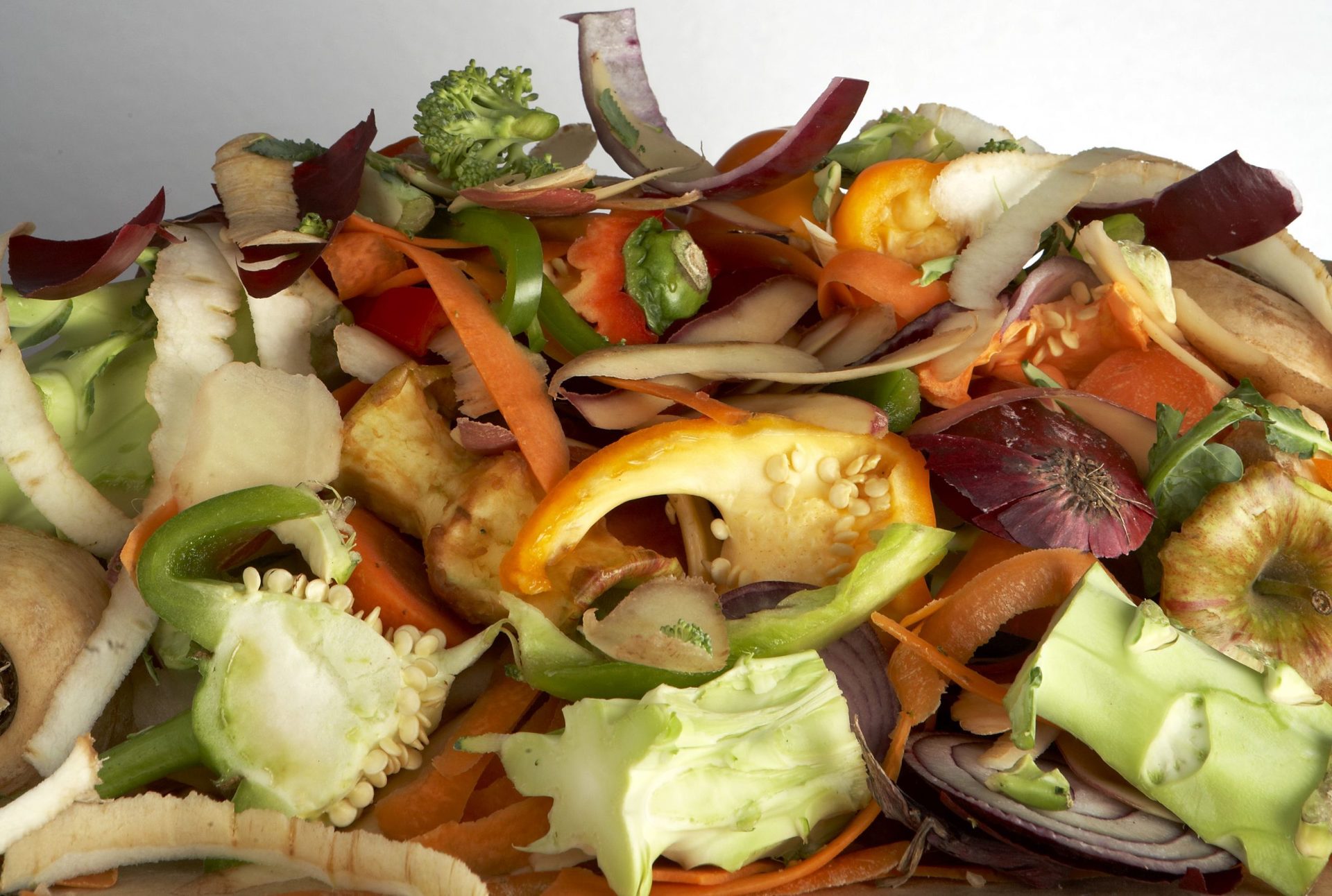 The DECISIVE project on the innovative valorisation of organic waste is launched