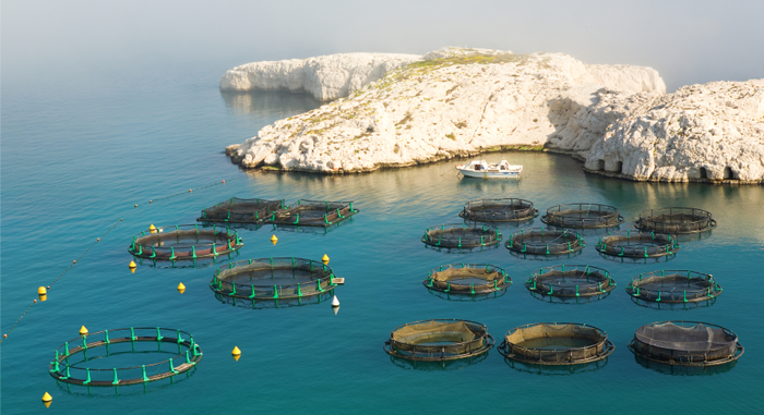 Unpacking the objectives and assumptions underpinning European aquaculture