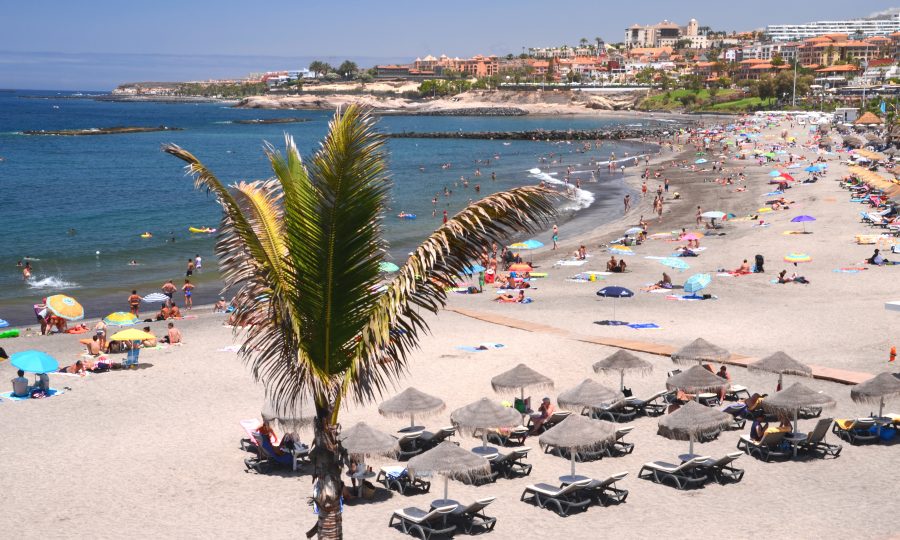 Presentem la proposta de millora de la gestió dels residus dels establiments turístics d’Adeje (Tenerife)