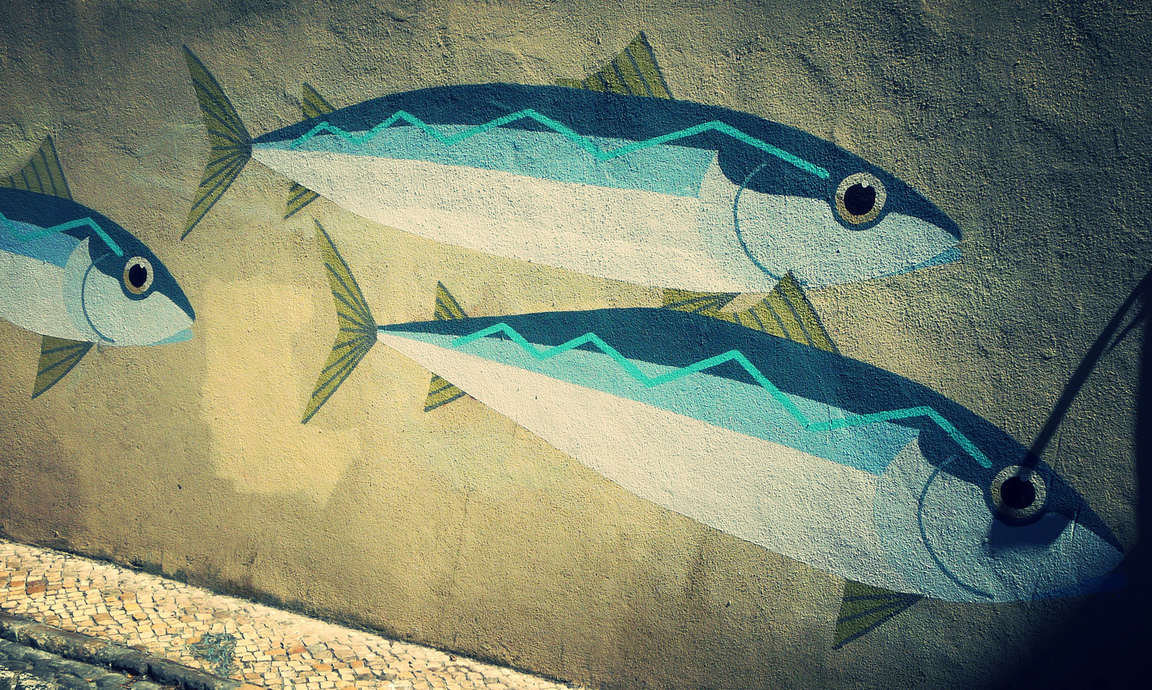 La Fundació ENT se suma al manifiesto para la conservación de la sardina ibérica