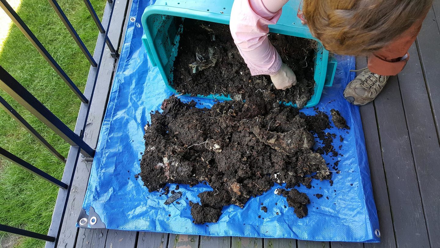 Study to support the implementation of reporting obligations resulting from the new waste legislation adopted in 2018. Taking account of home composting