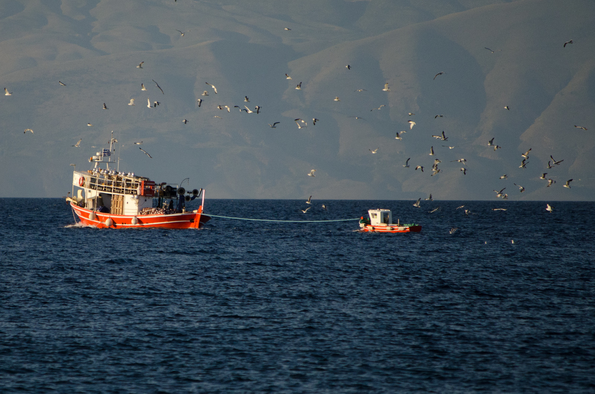 Participem a la Consulta de la Comissió Europea sobre les possibilitats de pesca per 2019