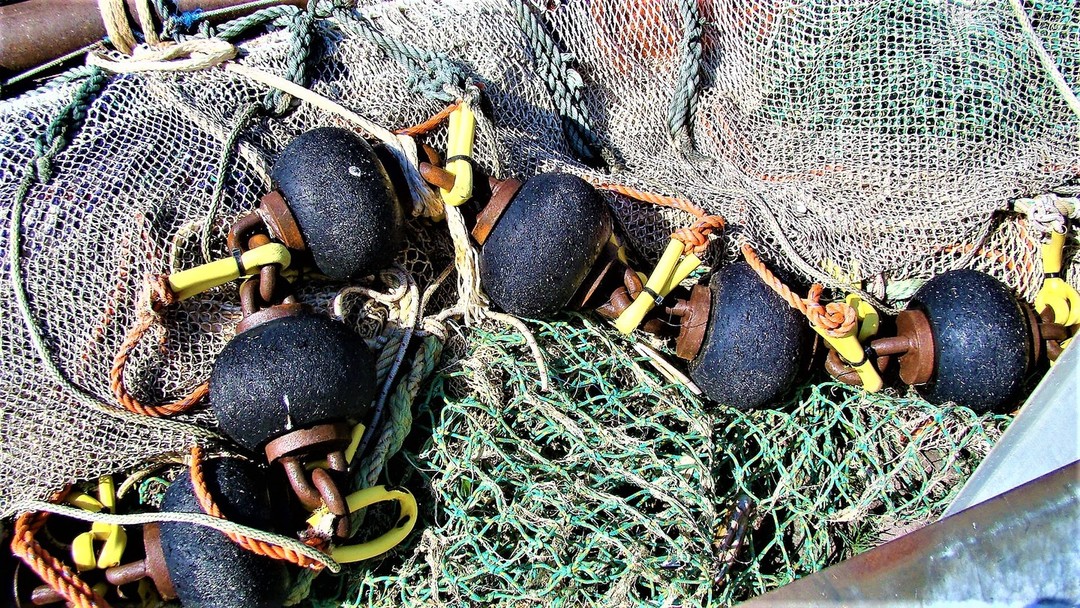 The European Commission overestimate the fishing limits set at sustainable levels in the EU