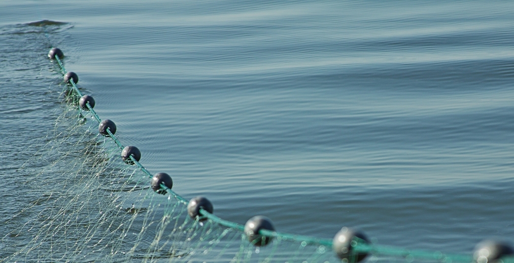 Nou article de Lydia Chaparro (Fundació ENT) sobre pesca i acció contra el canvi climàtic a eldiario.es