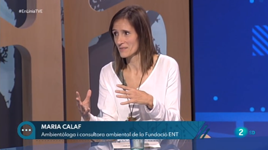 Maria Calaf (Fundació ENT) habla sobre recogida selectiva y contenedores con tecnologías de identificación del usuario en La2
