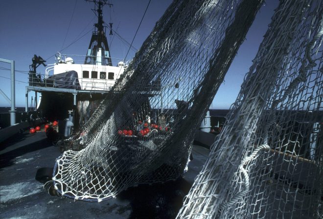Nuevo artículo de Lydia Chaparro (Fundació ENT) centrado en la sobrepesca