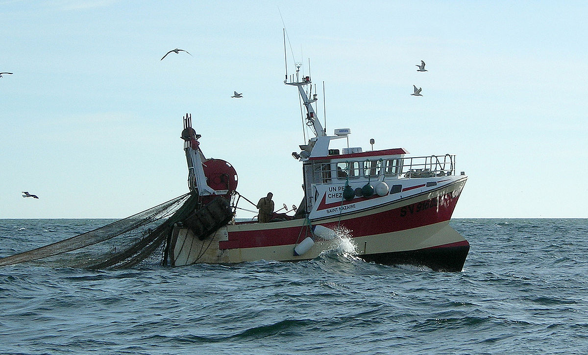 Así es la pesca de arrastre el 2020 en España