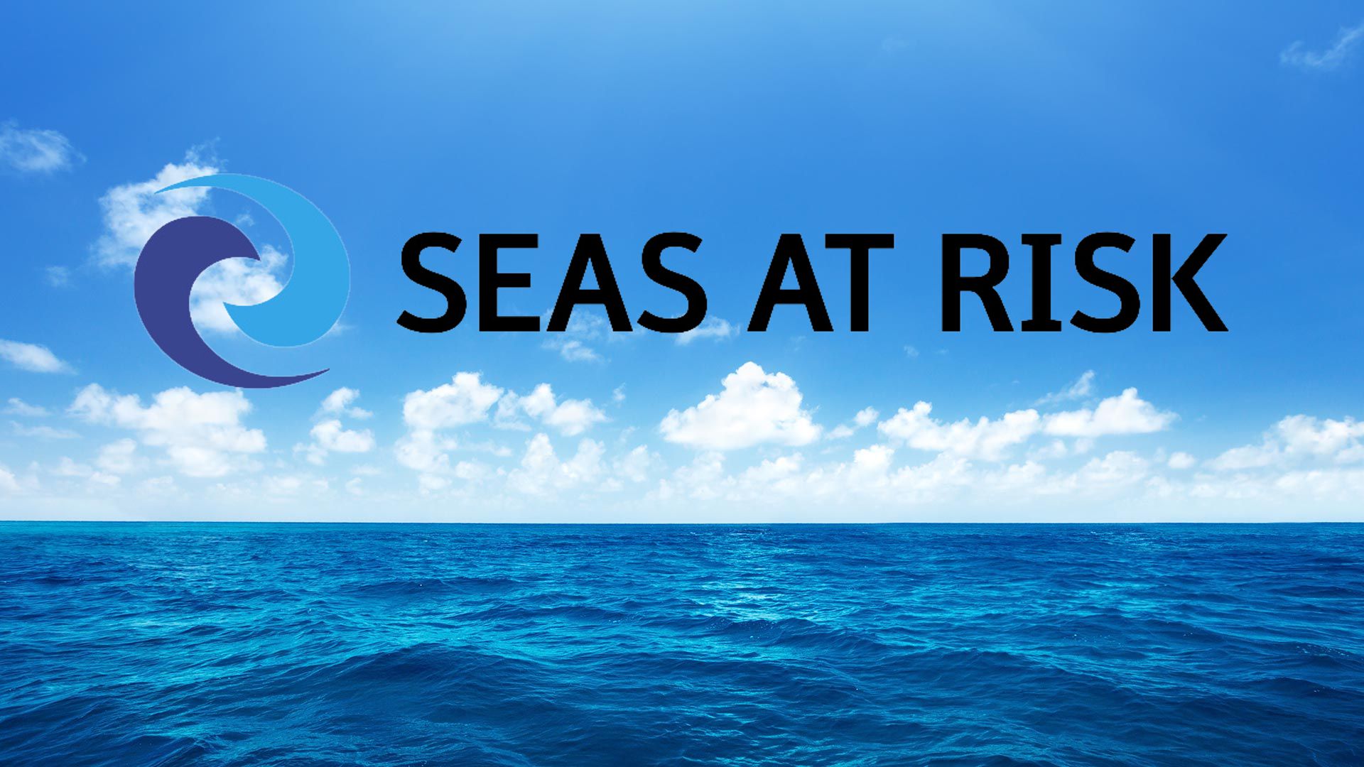 Miquel Ortega (ENT Foundation) joins the management committee of Seas At Risk