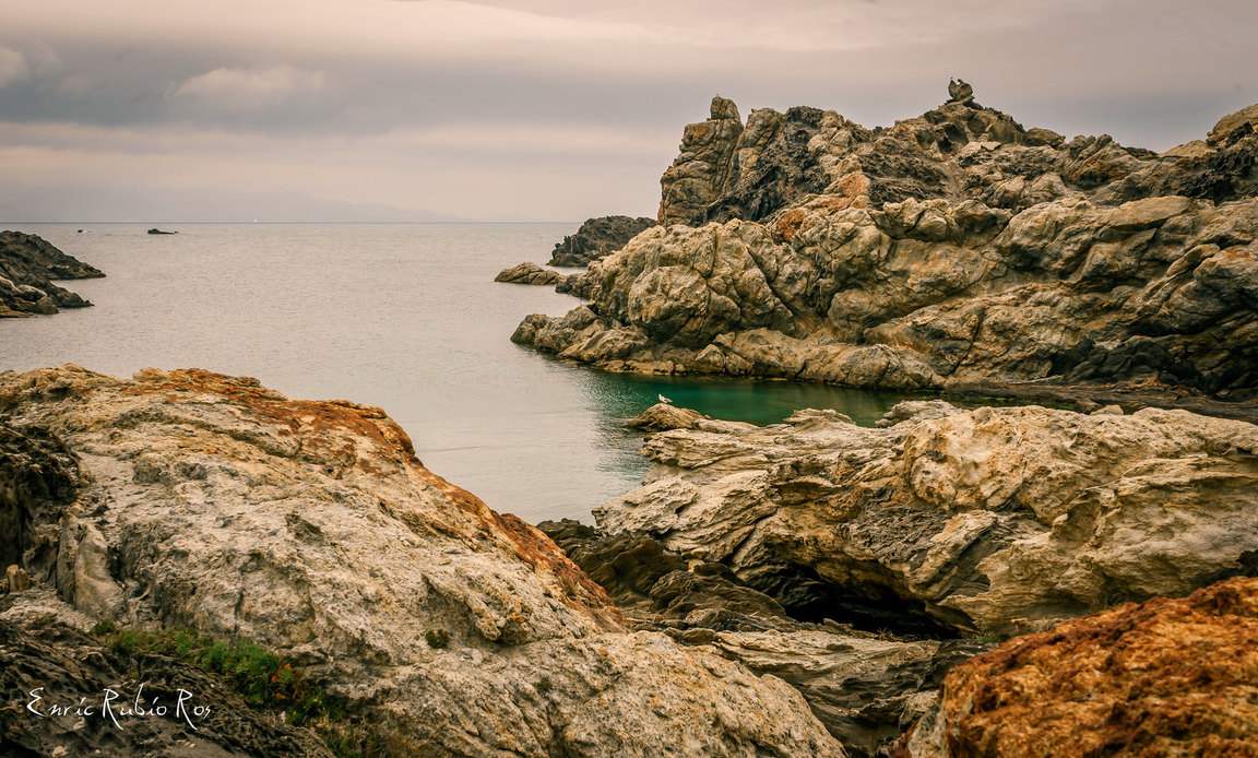 Termina el proyecto sobre el análisis de la vulnerabilidad ante el cambio climático del área marina de Cap de Creus y el Baix Empordà