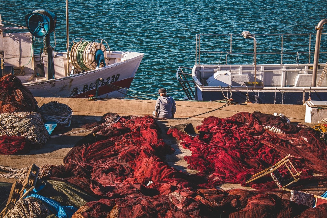 New article by Yesmina Mascarell, Miquel Ortega (Fundació ENT) and Marta Coll (ICM-CSIC) on effects of COVID-19 in marine fisheries