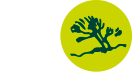 Logo-ENT-blanc-verd