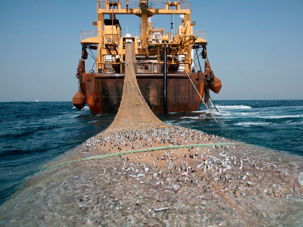 Un nuevo informe expone los costes ocultos del arrastre en el Mediterráneo