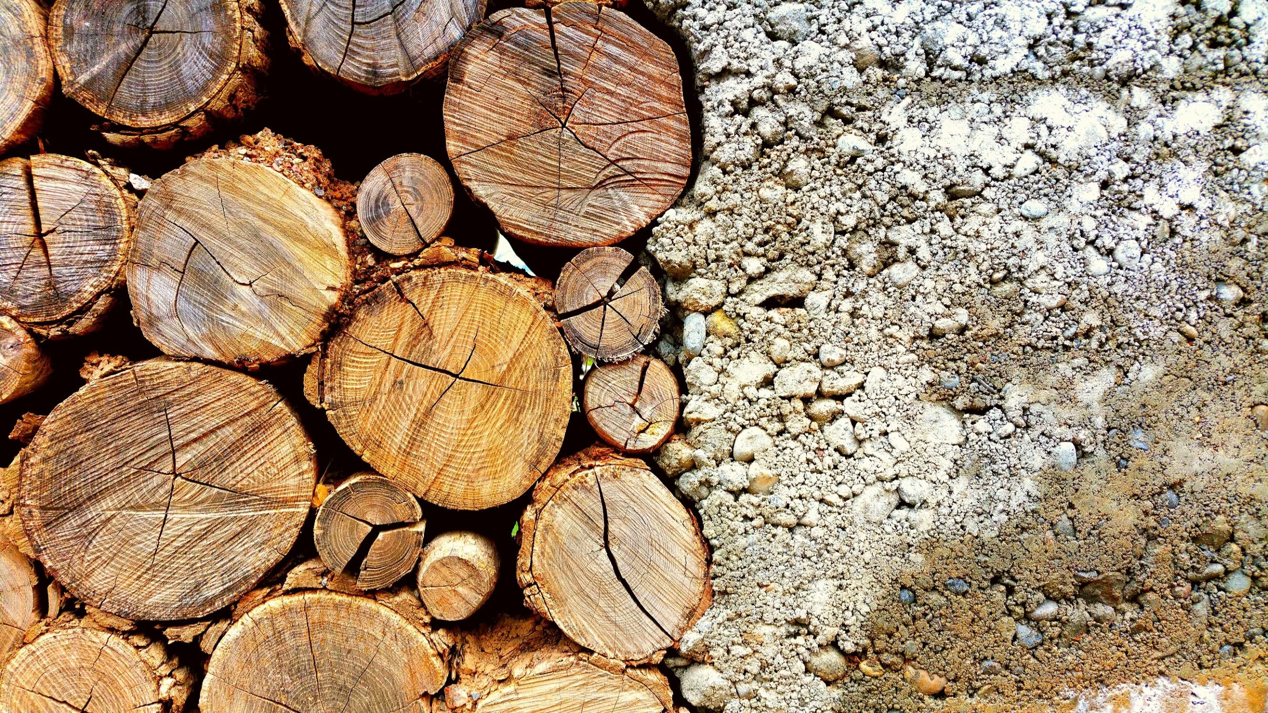 Tot apunt per l’inici del projecte WOODCIRCLES: solucions circulars innovadores per a la construcció sostenible en fusta