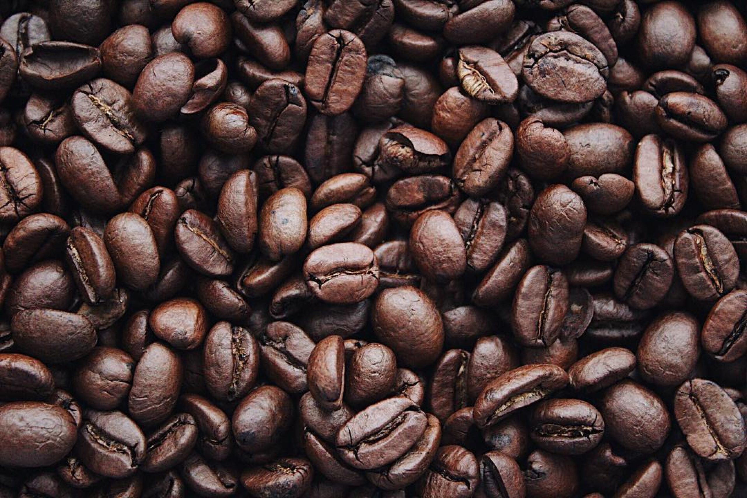 Nou article de Rosaria Chifari i Karin Meisterl (Fundació ENT) sobre la gestió sostenible dels residus del cafè